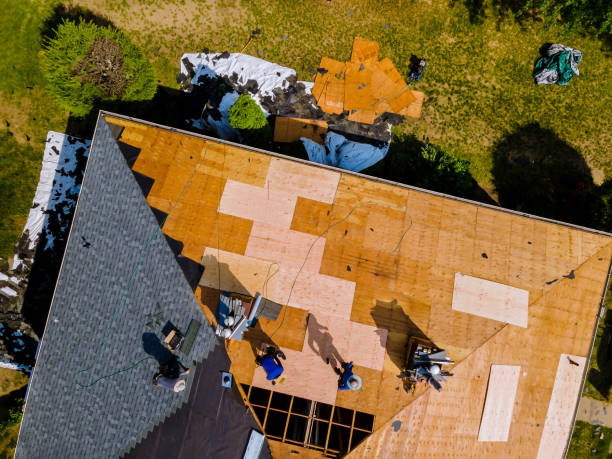Best Storm Damage Roof Repair  in Moorhead, MS